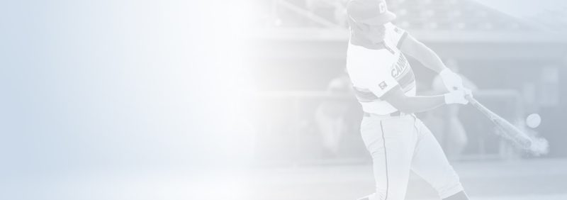 BASEBALL_SLIDER_BG